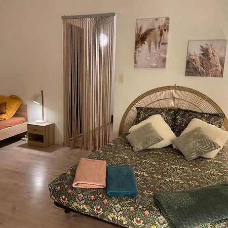 Apartamento T2 Plein Centre Au 1Er Etage Avec Parking Prive Millau Exterior foto