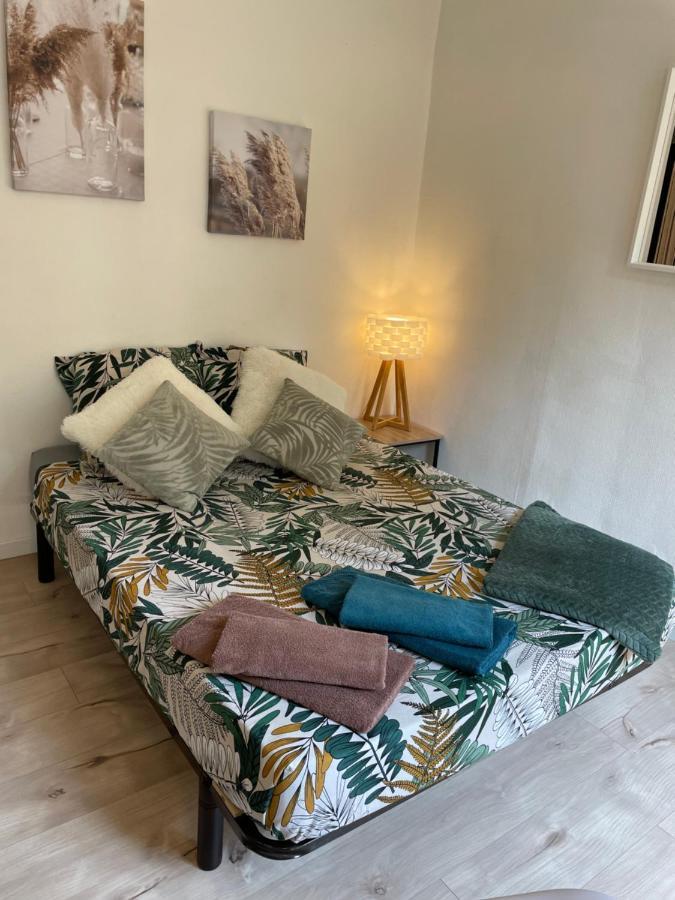 Apartamento T2 Plein Centre Au 1Er Etage Avec Parking Prive Millau Exterior foto